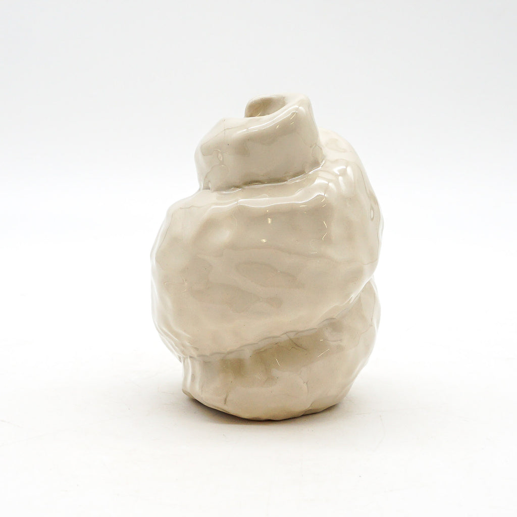 Spiral Shell 3
