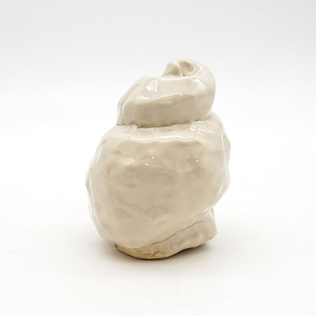 Spiral Shell 3