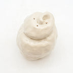 Spiral Shell 3