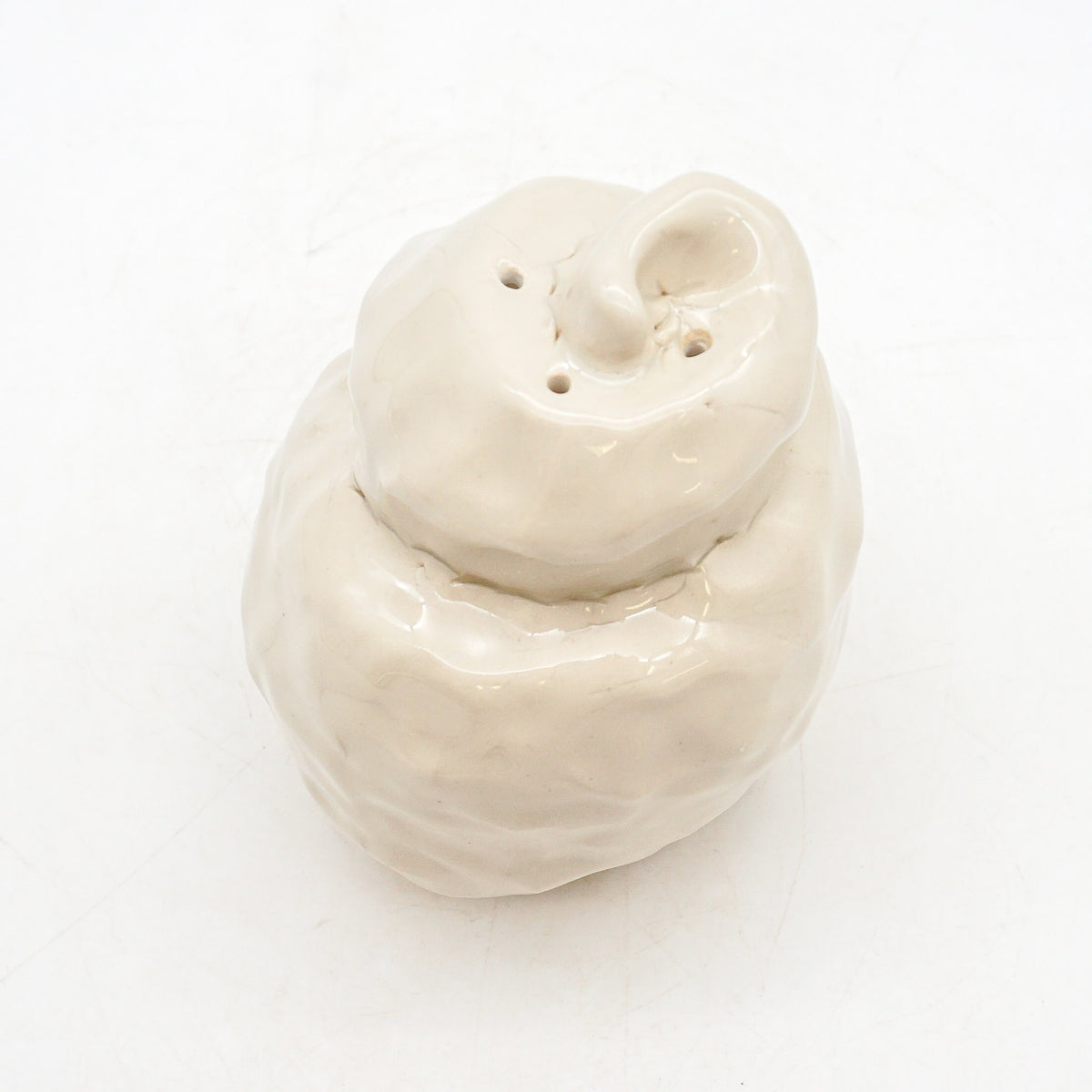 Spiral Shell 3