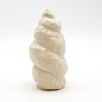 Spiral Shell 2