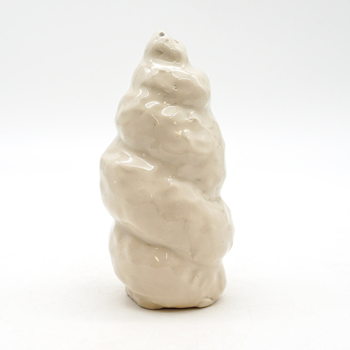 Spiral Shell 2