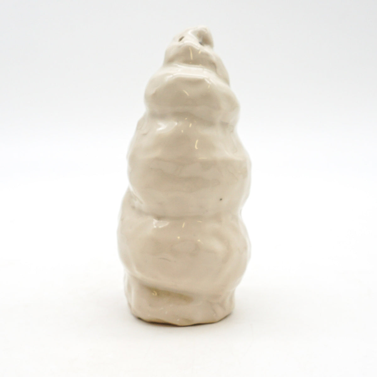 Spiral Shell 2