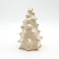 Spiky Shell 2