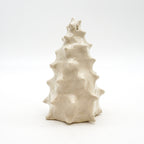 Spiky Shell 2