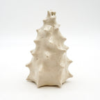 Spiky Shell 2