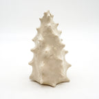 Spiky Shell 2