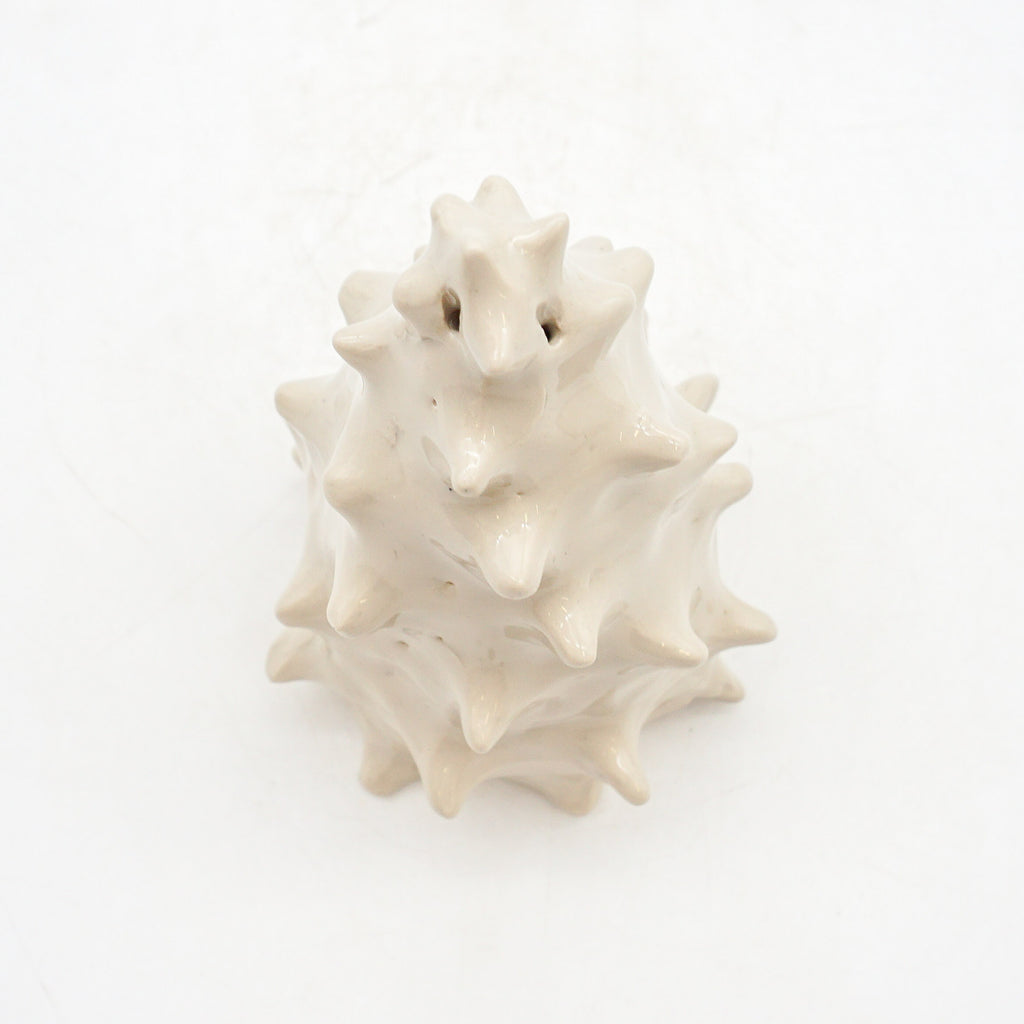 Spiky Shell 2