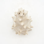Spiky Shell 2