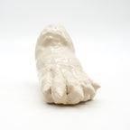 Bear Paw