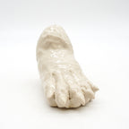 Bear Paw
