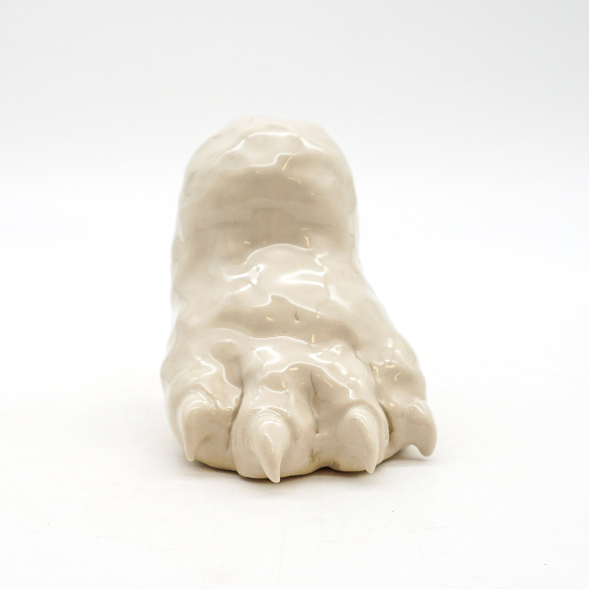 Cat Paw