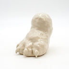 Cat Paw