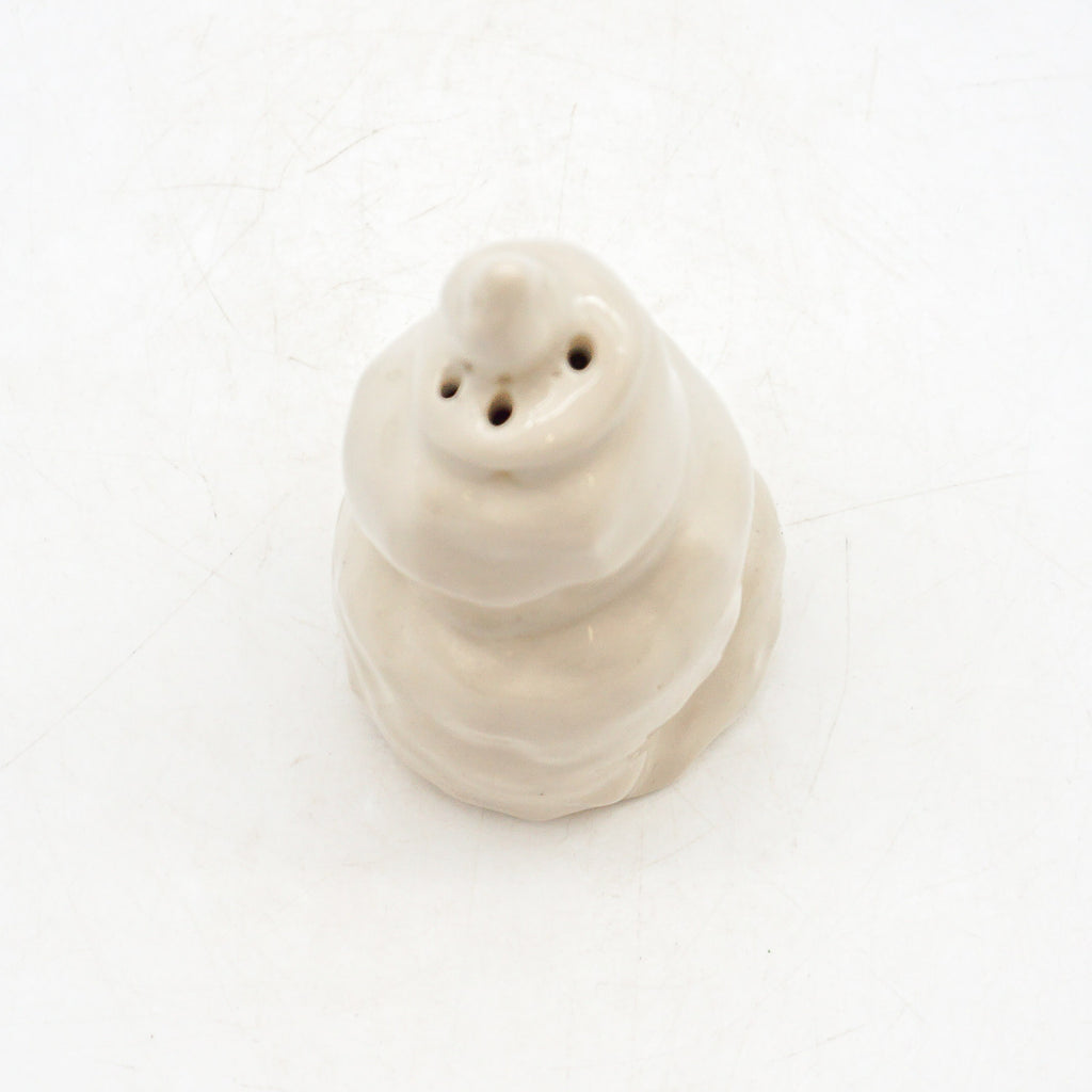 Spiral Shell 4