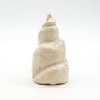 Spiral Shell 4
