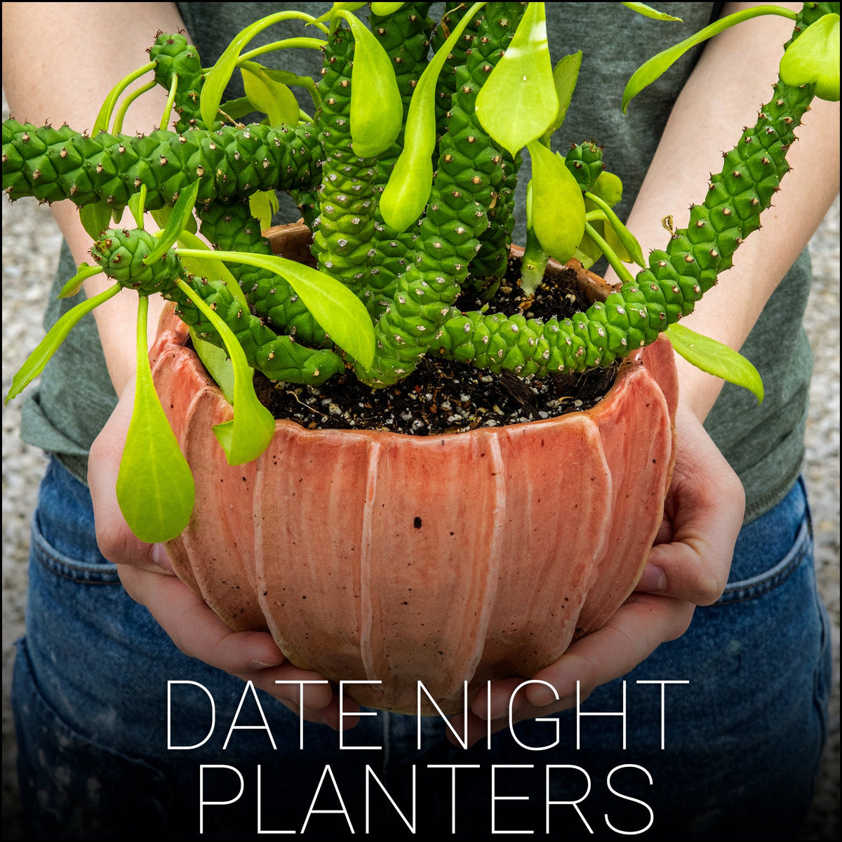 Date Night Planters